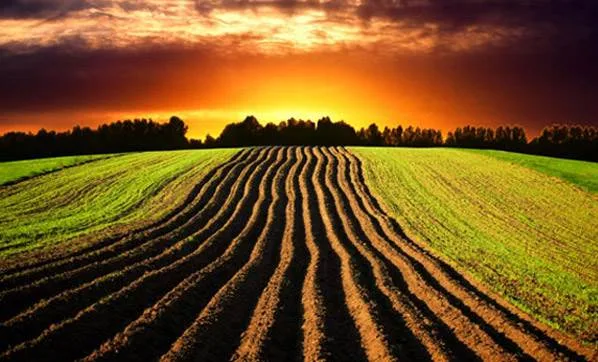 Arazi Sahibi Silah Ruhsatı