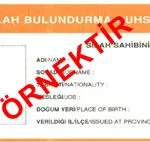 Silah Ruhsatı Çeşitleri